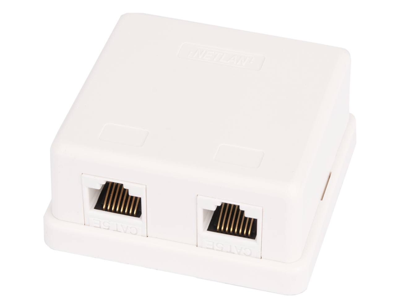 Розетка настенная NETLAN 2хRJ45/8P8C, 110, T568A/B, белая